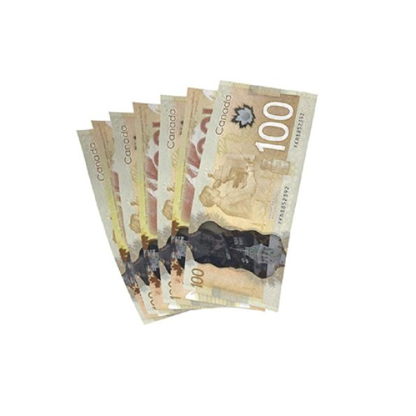 Fake 100 Canadian Dollars