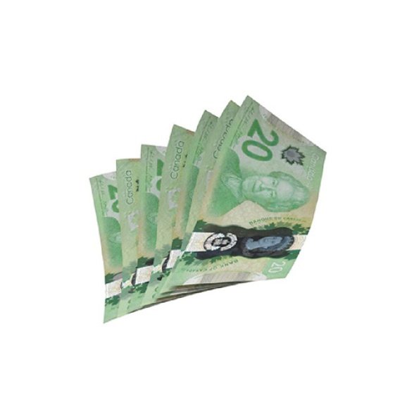 Fake 20 Canadian Dollars